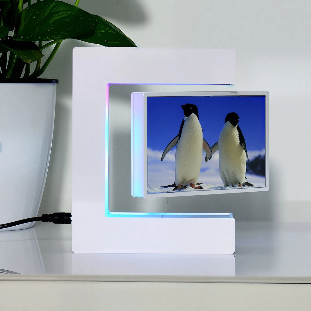 NeoLevity™ Floating Photo Horizontal Frame